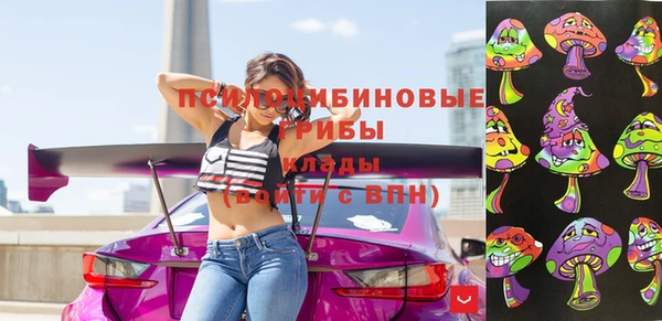 метадон Алексин