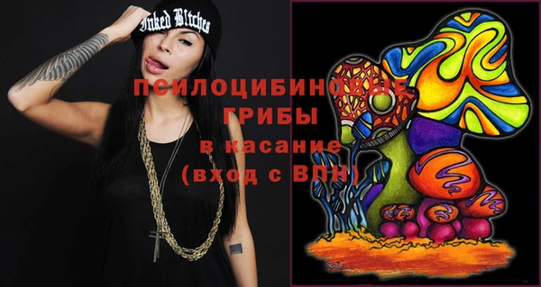 метадон Алексин